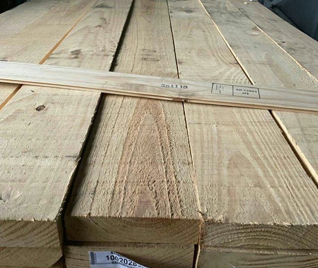 康巴什阿根廷松木
